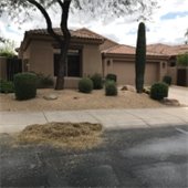 Landscape debris in street