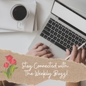 person typing on laptop