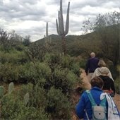 Butcher Jones Trail Hike