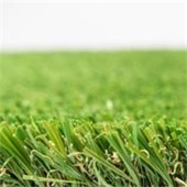photo of grass