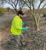 person spraying weeds