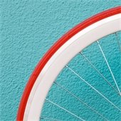 bike wheel