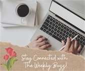 person typing on laptop