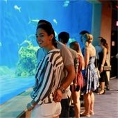 People standing in aquarium