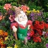 garden gnome set in flowers