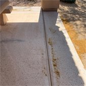 tree debris near ramada