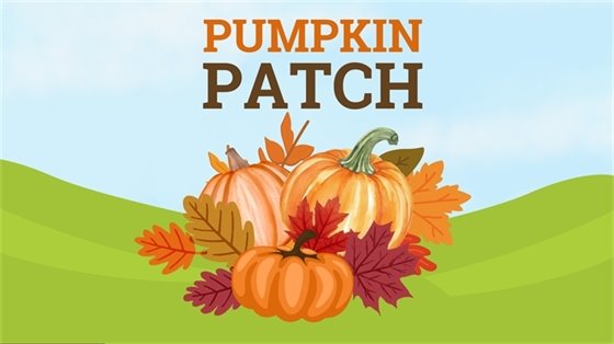 pumpkin patch header