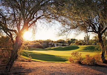 Gold Course Sunset